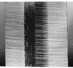 Gear Failure Pitting Scuffing