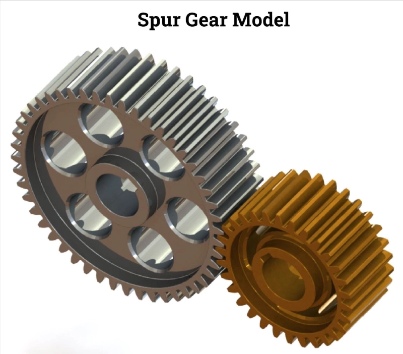 Spur Gear Model